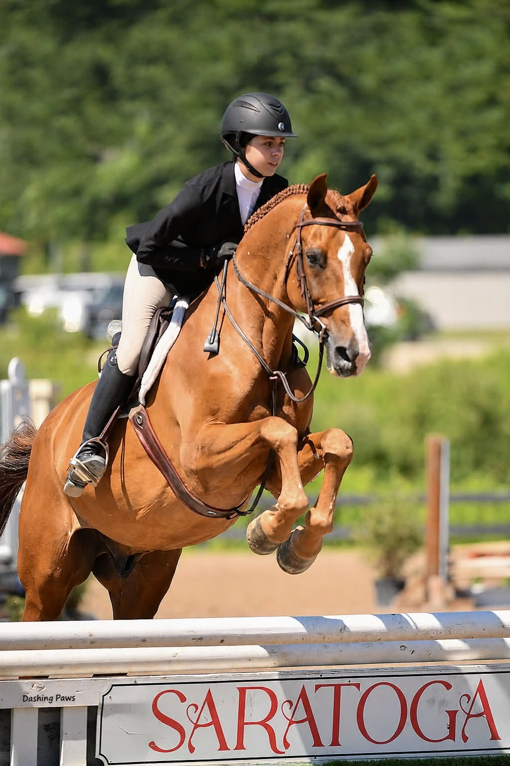 Piper clearing a jump on her chestnut hunter at the Saratoga horse show